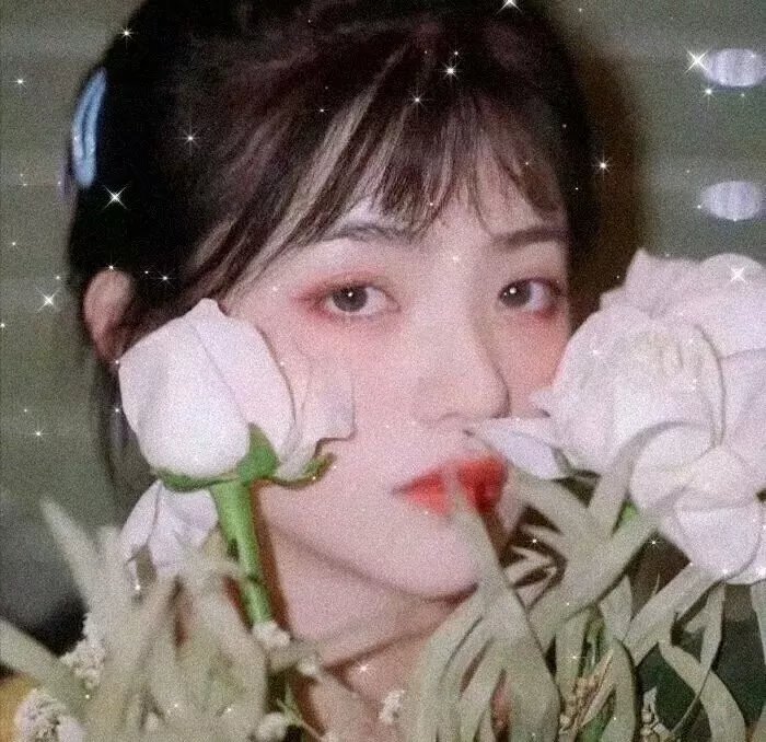 泥砖与镜子
